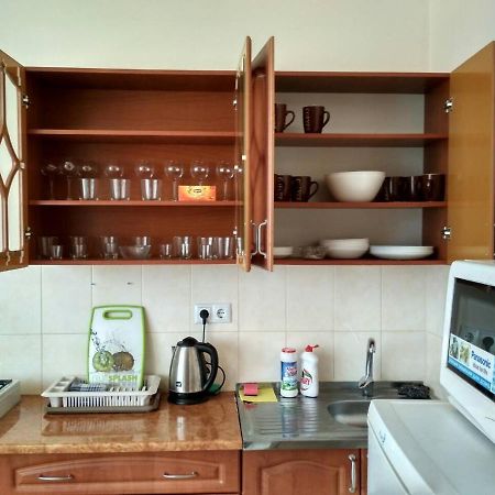 Apartments Domovik Просторная Квартира С Видом На Горы ムカチェヴォ エクステリア 写真