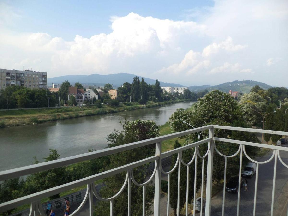 Apartments Domovik Просторная Квартира С Видом На Горы ムカチェヴォ エクステリア 写真