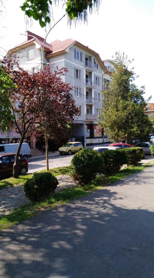 Apartments Domovik Просторная Квартира С Видом На Горы ムカチェヴォ エクステリア 写真