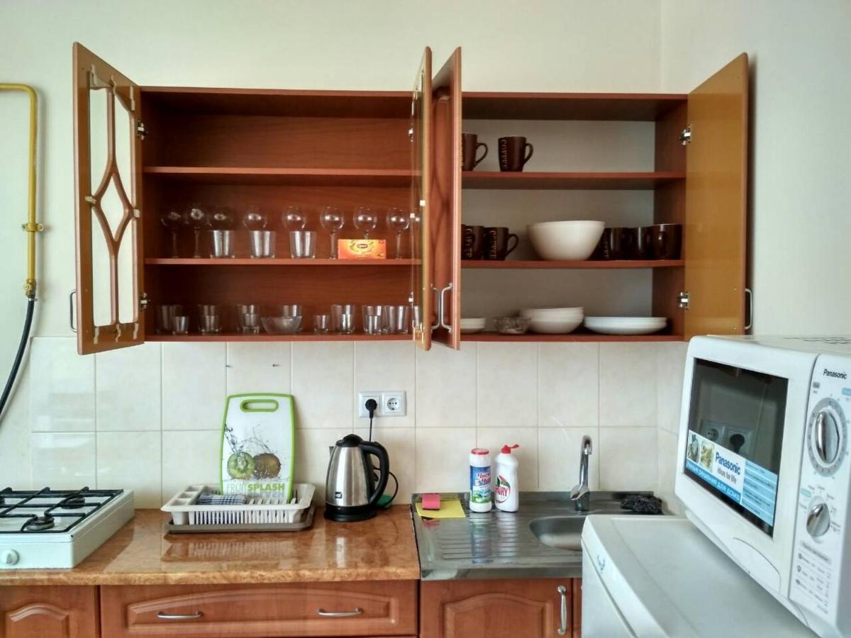 Apartments Domovik Просторная Квартира С Видом На Горы ムカチェヴォ エクステリア 写真