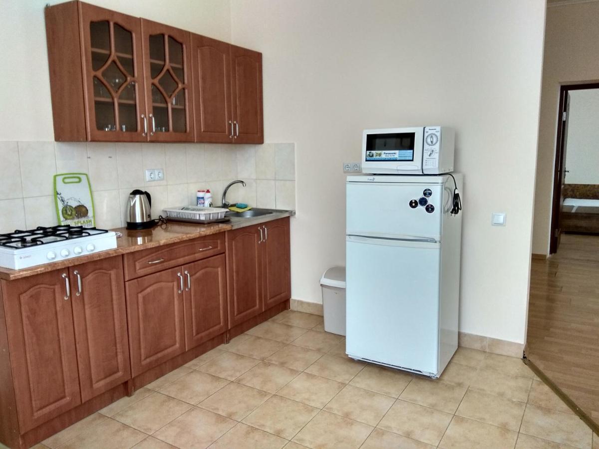 Apartments Domovik Просторная Квартира С Видом На Горы ムカチェヴォ エクステリア 写真